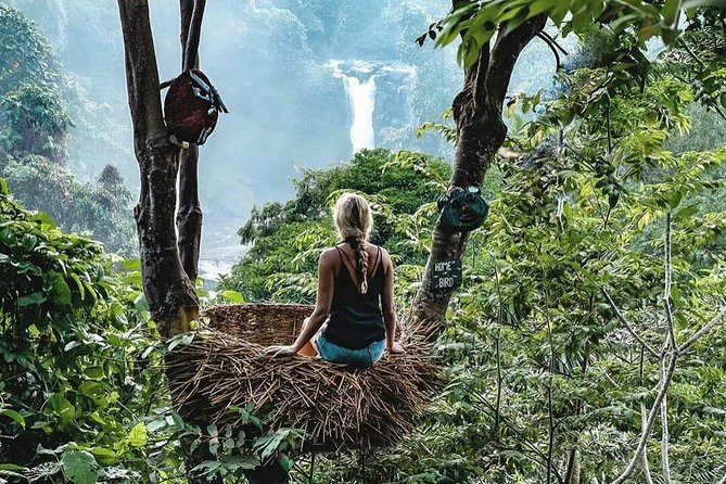 Full-Day in Bali: Private Design-Your-Own Tour - How to choose your stops from the Bali menu (without burning time)
