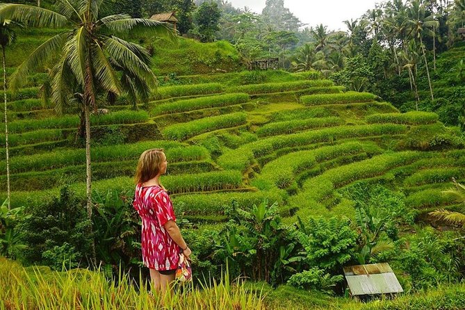 Full-Day in Bali: Private Design-Your-Own Tour - Pickup at 8:30am and handling Bali traffic the easy way