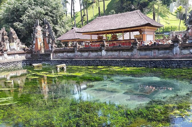 Full Day Kintamani Volcano View and Ubud Village Tour - Tegalalang Rice Terrace: timing and viewpoints without guesswork