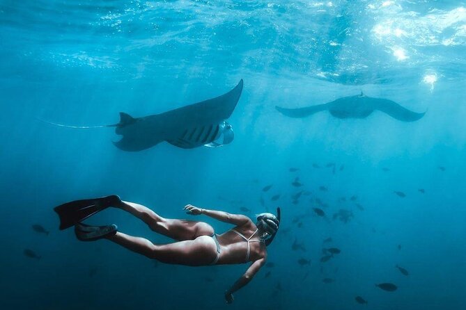 Full Day Nusa Penida Manta Point Snorkeling and West Island Tour - A West Nusa Penida Day That Moves, Without Feeling Random