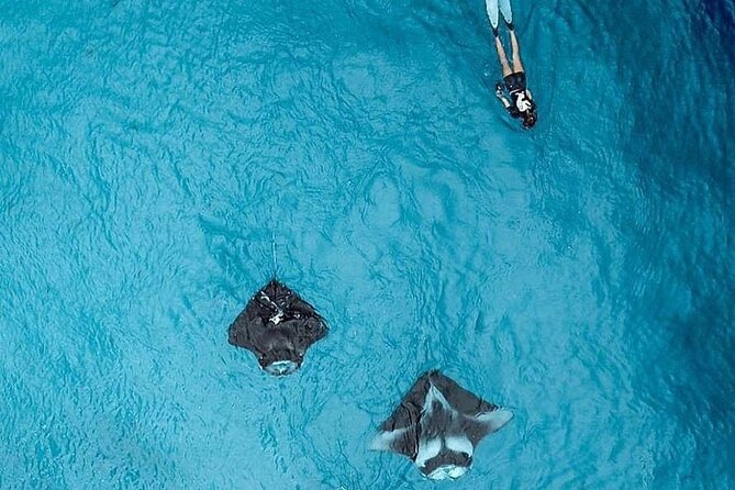 Full Day Nusa Penida Manta Point Snorkeling and West Island Tour - Fast Boat Transfers and the Reality of a 10 to 12 Hour Day