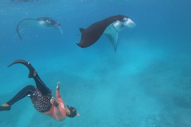 Full Day Nusa Penida Manta Point Snorkeling and West Island Tour - Gamat Bay: More Water Time With a Different Underwater Feel