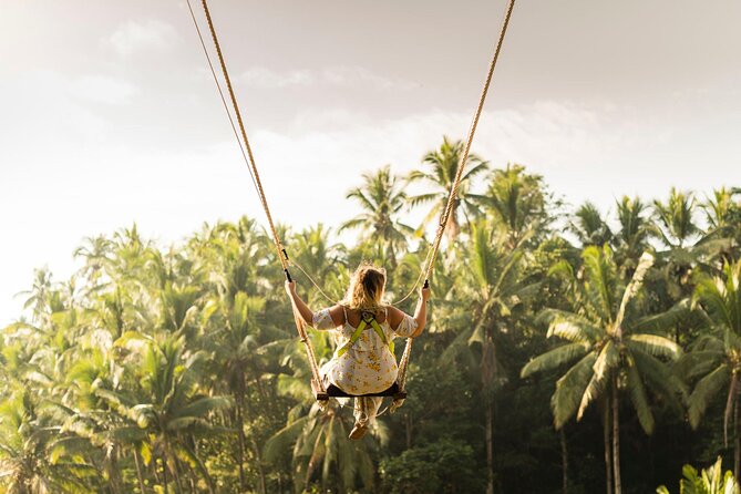 Full-Day Private Car Charter in Bali with Local Guide - Stop 5: Picheaven Bali Swing, Jungle Swing and Photo Spots