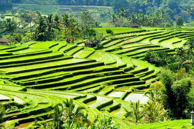 Full-Day Private Cultural Bali Tour + Balinese Driver - Should you book this private cultural Bali tour?