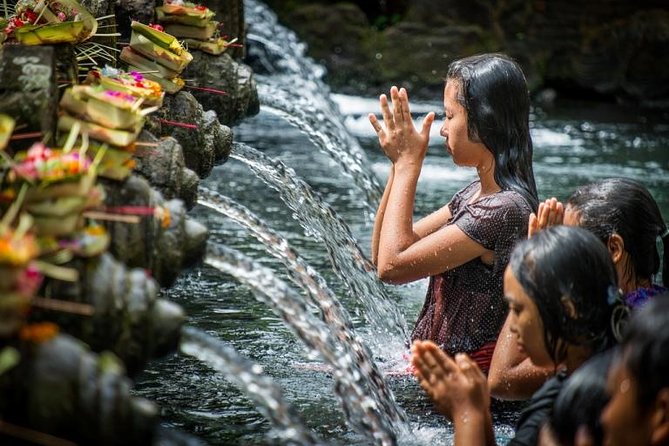 Full-day Private Cultural Tour of Ubud in Bali - Key Highlights That Make This Ubud Day Worth It