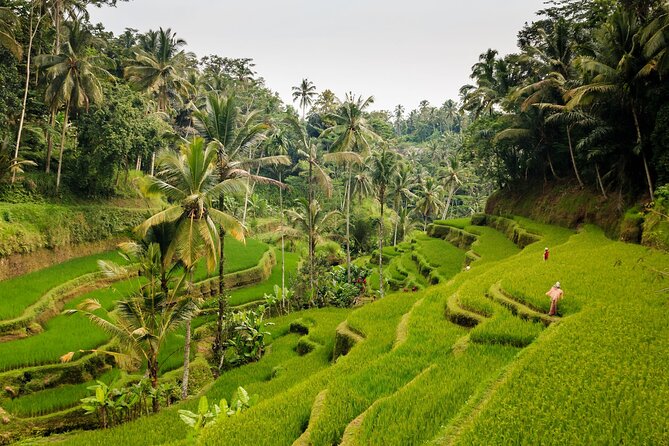 Full-Day Private Guided Exploring Bali as You Wish Tour - Timing: How a 10-Hour Day Usually Fits Together