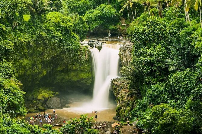 Full Day Private Guided Tour in Bali - Sacred Monkey Forest Sanctuary: see the reserve, but respect it