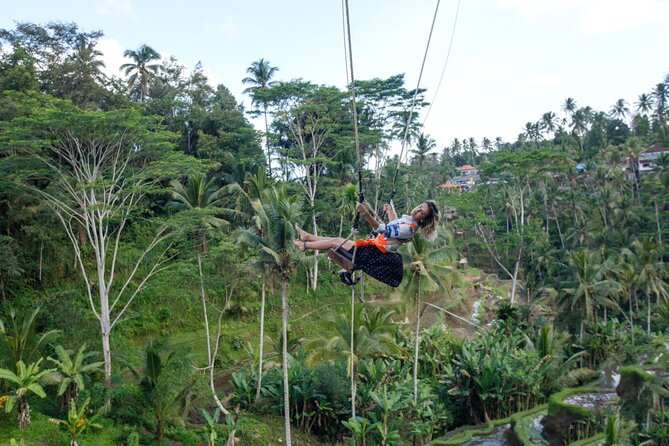 Full Day Private Guided Tour to Bali - Tegalalang Rice Terrace: cliffside views and why timing helps