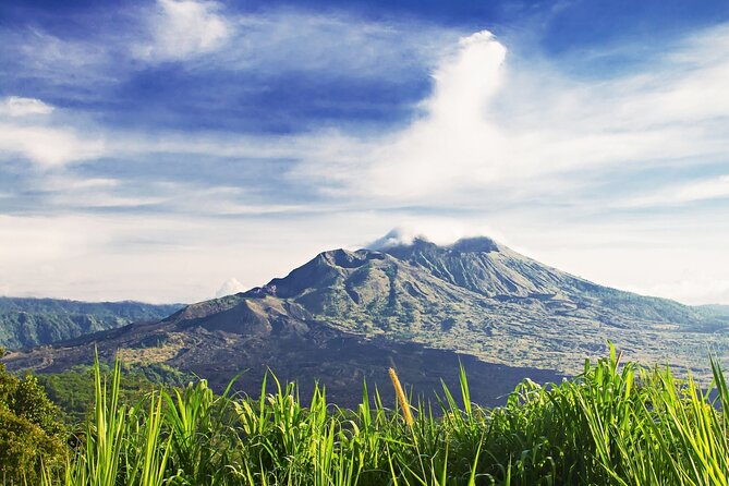 Full Day Private Guided Tour to Bali - Sacred Monkey Forest Sanctuary: temples, trees, and hundreds of roaming monkeys