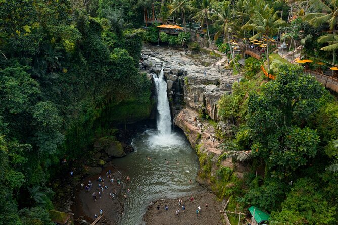 Full Day Private Guided Tour to Bali - The Ubud add-ons menu: how to choose what fits your energy