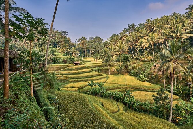 Full Day Private Guided Tour to Bali - Tirta Empul Temple: sacred water springs and ritual space