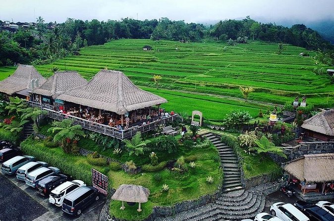 Full Day Private Water Temples Tour in Bali - English-speaking driver, plus photo help you can actually use