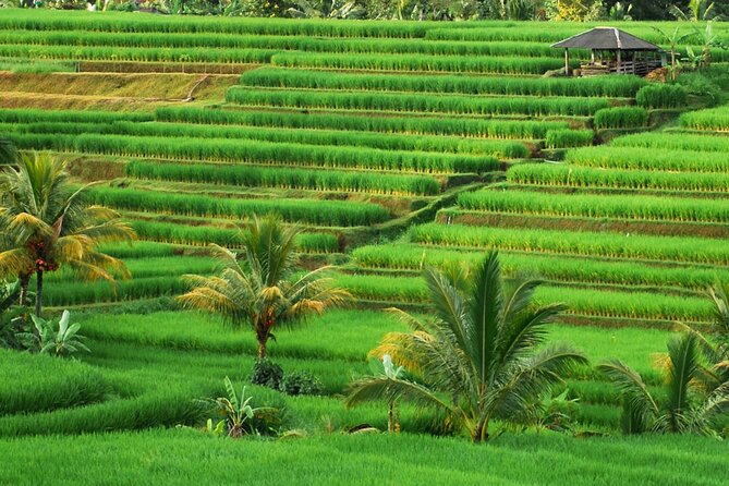 Full Day Private Water Temples Tour in Bali - Ulun Danu Bratan on Lake Beratan: temple architecture and lake views