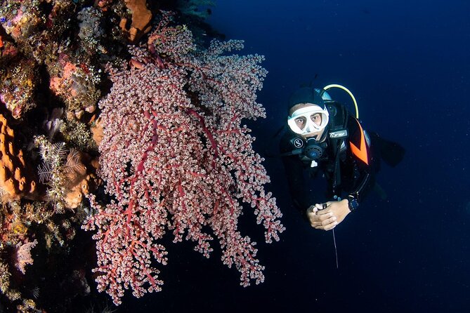 Full-Day Scuba Diving Experience of USAT Liberty in Tulamben - From 7:30 AM pickup to morning briefing: how the day actually runs