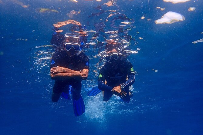 Full-Day Scuba Diving Experience of USAT Liberty in Tulamben - Is it private? What that means for your day