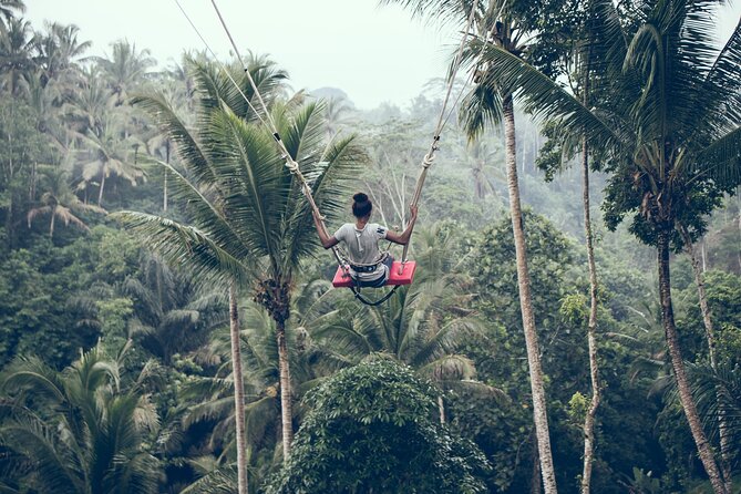 Full day Tour to Best of Ubud with jungle swing - One-Day Ubud loop from Seminyak, without self-driving stress