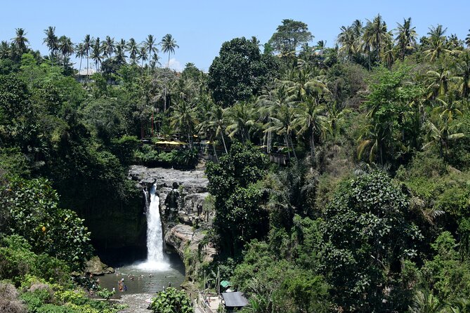 Full day Tour to Best of Ubud with jungle swing - Tegenungan Waterfall: a dramatic 20 meter view and a swim option