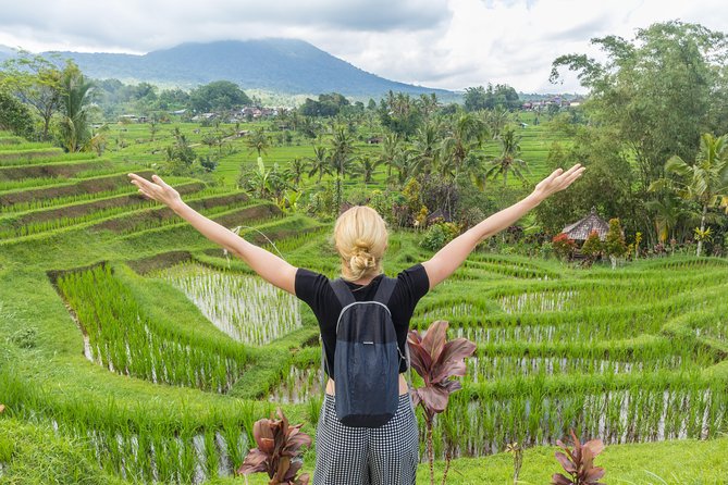 Full-Day Tour to Water Temples and UNESCO Rice Terraces in Bali - Price and what you should budget beyond $39