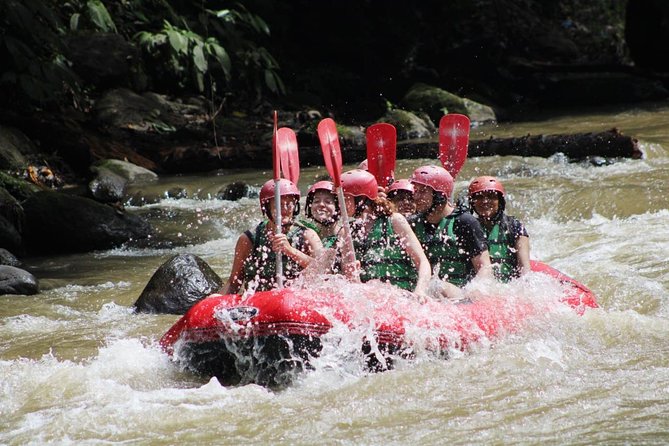 Full-Day Tour: White Water Rafting and Highlight of Ubud with All-inclusive - Ayung River white-water rafting, what the time on water really means