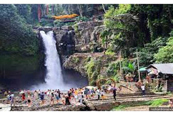 Full day Ubud and Tanah Lot tour - Price and what you actually get for $57