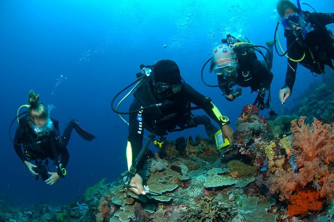 Fun Diving Tulamben Bali - For Certified Divers - Seminyak to Tulamben: why the early start and 2 hours matter