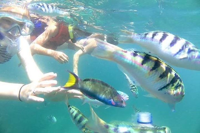 Gate Heaven Tirta Gangga With Snorkeling Private Guided Tour - A day that mixes snorkeling with the Mt. Agung photo