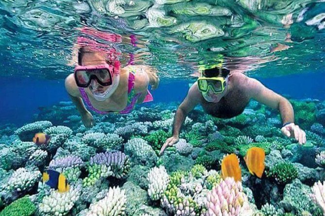 Gate Heaven Tirta Gangga With Snorkeling Private Guided Tour - Blue Lagoon and Tanjung Jepun snorkeling, what you should expect