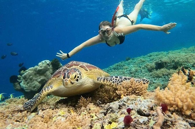 Gili Air: Snorkeling 3 Gili Islands with GoPro Camera - Gili Meno break for about an hour, what to do with the pause