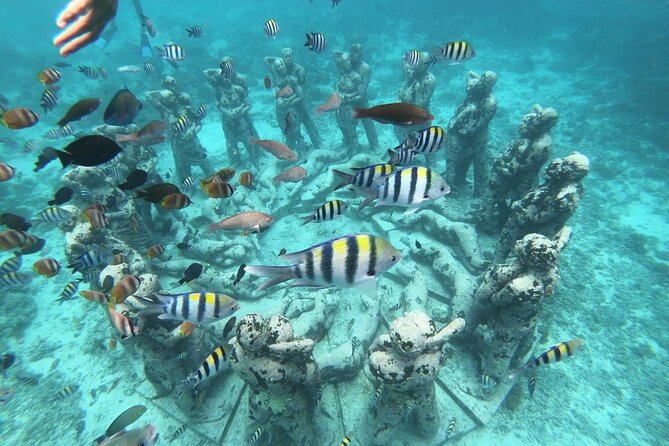 Gili island Snorkeling Half Day Trip departure from Gili Trawangan - Key things to know before you go (Gili Trawangan turtle snorkeling)