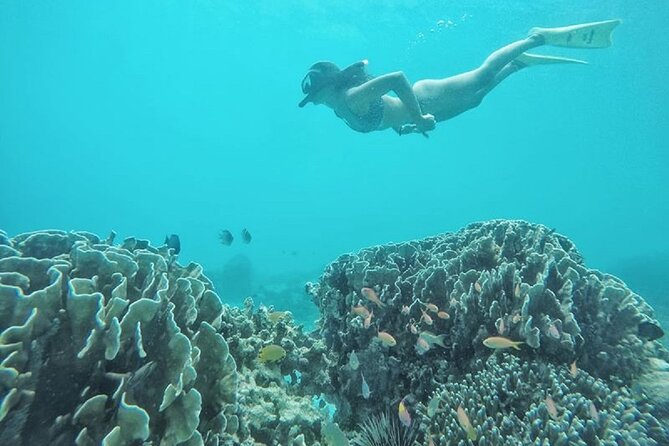 Gili island Snorkeling Half Day Trip departure from Gili Trawangan - Stop 1: Gili Meno Beach and The Nest sculptures by Jason deCaires Taylor