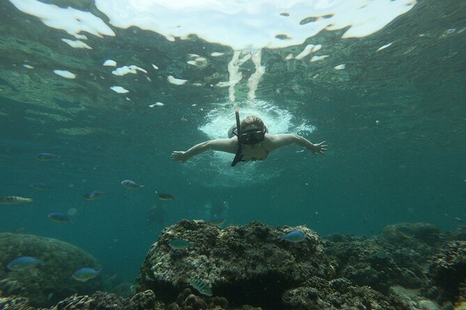 Gili island Snorkeling Half Day Trip departure from Gili Trawangan - Stop 2: Gili Air snorkeling, lunch break, and reef fish you can actually name