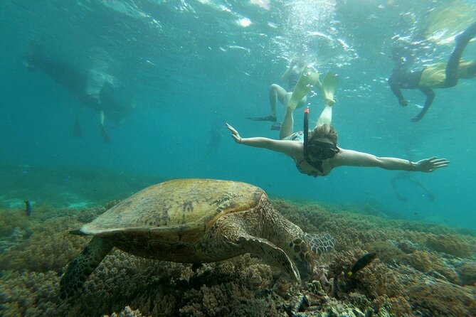 Gili island Snorkeling Half Day Trip departure from Gili Trawangan - How long you really spend snorkeling, and why the schedule feels tight but doable