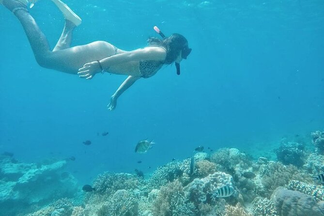 Gili island Snorkeling Half Day Trip departure from Gili Trawangan - Who should book this snorkeling trip from Gili Trawangan