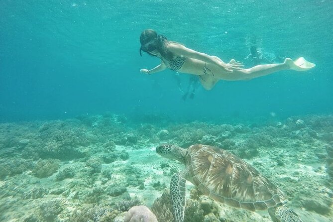 Gili island Snorkeling Half Day Trip departure from Gili Trawangan - Meeting point and getting organized on Gili Trawangan