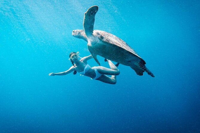 Gili Island Snorkeling Trip - Gili Trawangan, Gili Meno, & Gili Air, From Lombok - Key things I’d look for on this trip