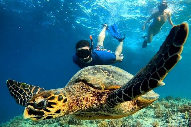 Gili Trawangan & Gili Air Snorkeling Tour Turtles & Statue - Key things to know before you go