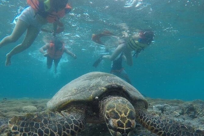 Gili Trawangan & Gili Air Snorkeling Tour Turtles & Statue - Stop 1: Gili Trawangan Island snorkeling starter