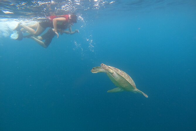 Gili Trawangan & Gili Air Snorkeling Tour Turtles & Statue - Crowds, water conditions, and snorkel technique: how to get the most