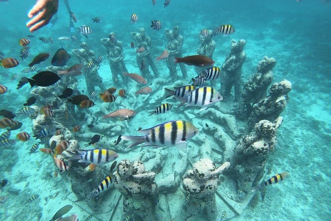 Gili Trawangan,Gili Meno& Gili Air Island:Snorkeling Day Trip Depart from Lombok - Key things I’d plan around before you go