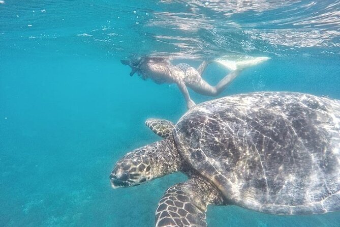 Gili Trawangan,Gili Meno& Gili Air Island:Snorkeling Day Trip Depart from Lombok - Gili Trawangan Stop: Wandering First, Snorkeling with the Statues Theme