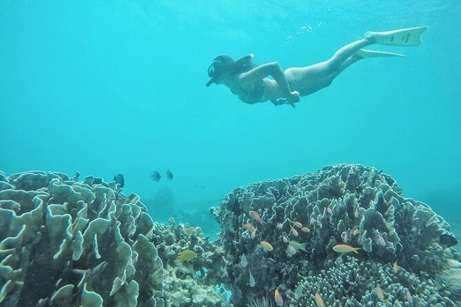 Gili Trawangan,Gili Meno& Gili Air Island:Snorkeling Day Trip Depart from Lombok - A Fast Way to Hit Trawangan, Meno, and Air in One Day