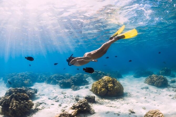 Gili Trawangan : Private Snorkeling with 3 spots or 4 spots - What this private snorkeling tour really delivers in Gili Trawangan