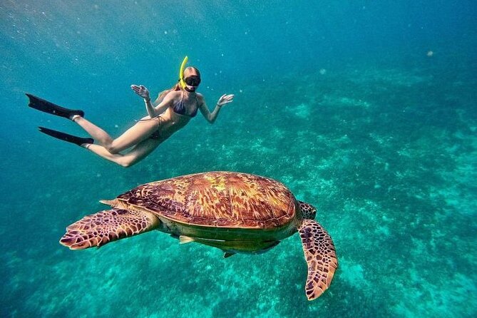 Gili Trawangan : Private Snorkeling with 3 spots or 4 spots - Meeting point, timing feel, and what that means for your day