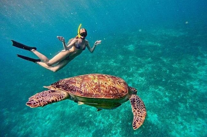 Gili Trawangan : Private Snorkeling with 3 spots or 4 spots - Glass-bottom boat rides: why this isn’t just a transfer