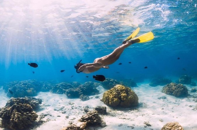 Gili Trawangan : Private Snorkeling with 3 spots or 4 spots - Stop 1: coral reef life and the first taste of the underwater world