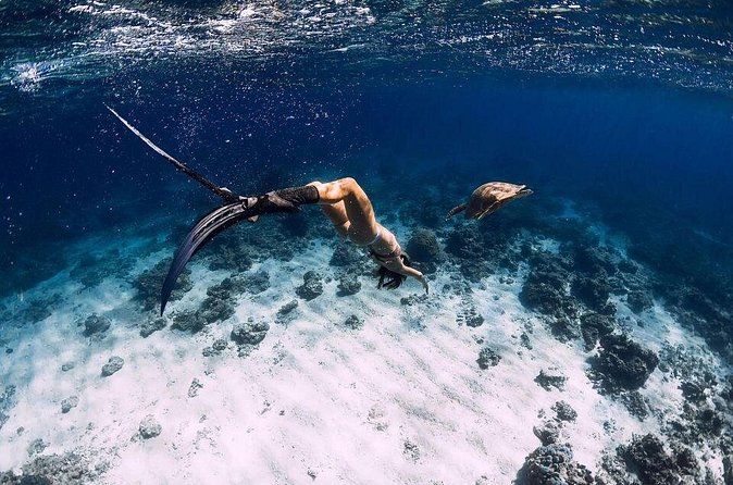 Gili Trawangan : Private Snorkeling with 3 spots or 4 spots - Stop 2: underwater statues and the fish schooling effect