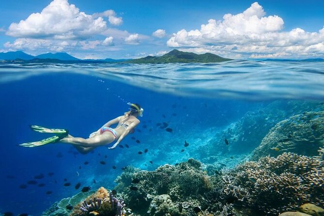 Gili Trawangan : Private Snorkeling with 3 spots or 4 spots - 3-stop vs 4-stop packages, and how to pick the right one
