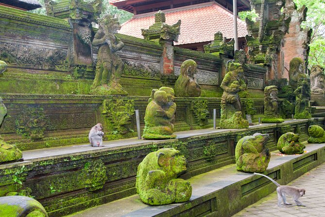 Goa Gajah / Elephant Cave Temple And Ubud Tour - All Inclusive - Who This Bali Day Trip Fits Best
