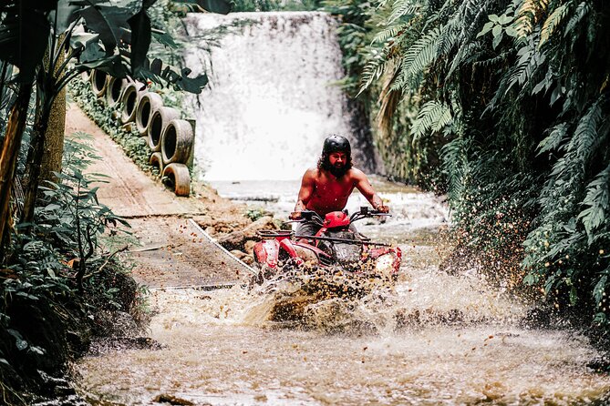 Gorilla Cave ATV Bali Ubud, Monkey Forest, Temple, and Lunch - Sacred Monkey Forest Sanctuary: A Shady Hour in a Real Forest