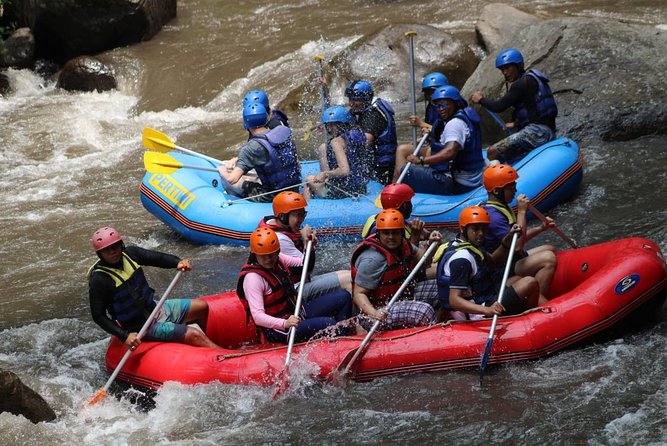 Green Bali Rafting Ticket And Transfer - Price, value, and what you are really paying for
